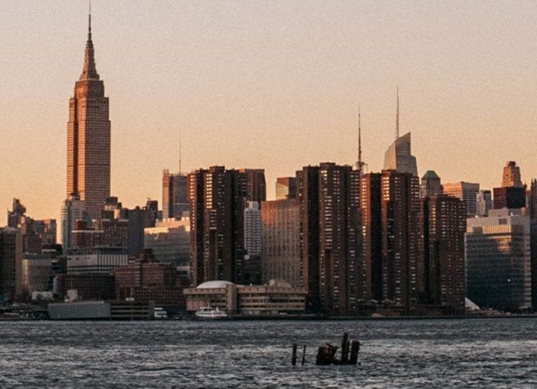 Daily Brief – Canola for Cars