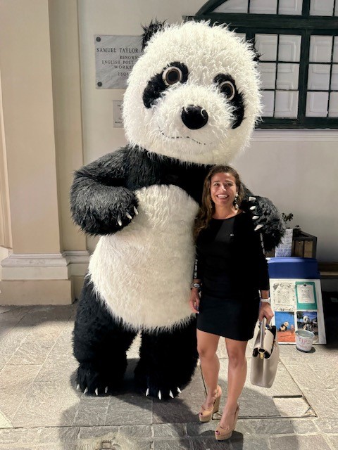 A 2.5 meter Panda and being Shot at