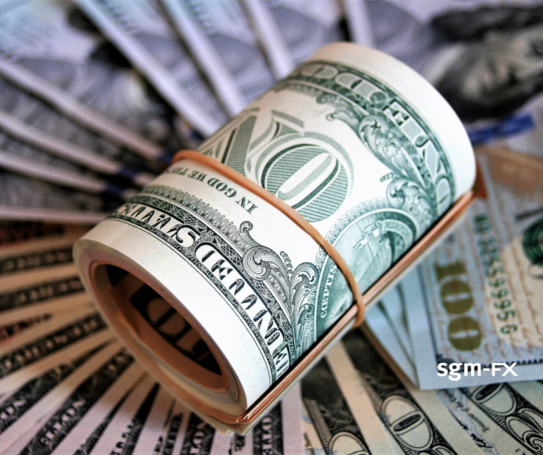 Daily Brief – Dollarisation