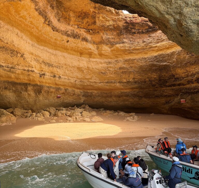 Sun sea and stingray